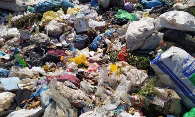 джерело: Державна екоінспекція України