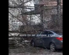 Скрін, відео YouTube