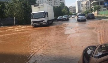 Київські Осокорки тонуть в брудній воді