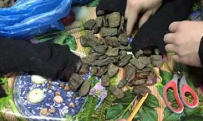 СБУ затримала митника за «кришування» контрабанди бурштину (відео)