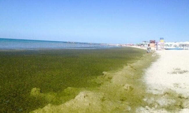 Брудні пляжі Херсонщини шокують відпочиваючих