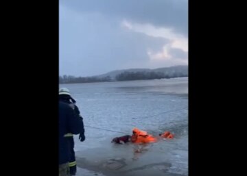 В Киеве спасли провалившегося под лед пса, скриншот из видео