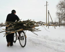 Дрова, зображення з вільних джерел