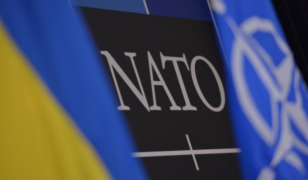 64% украинцев в июле проголосовали бы «за» вступление в НАТО