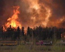 Адский огонь уничтожил десятки километров греческого курорта: видео