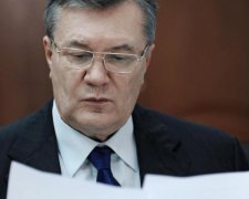 Тайник соратника Януковича нашли следователи
