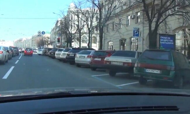 В Запорожье пенсионерка объявила войну "оленям" за рулём и стала грозой района - "Паркуйтесь по-человечески!"