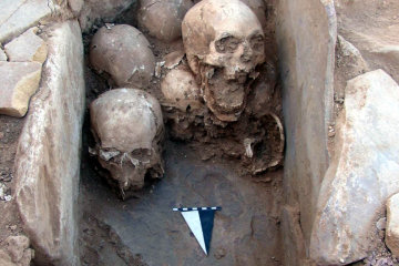 Яма заполнена черепами: археологи наткнулись на "кровавый след" прошлого