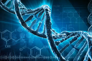 Это меняет все: ученые обнаружили уникальный вид Homo sapiens, вопросов больше, чем ответов