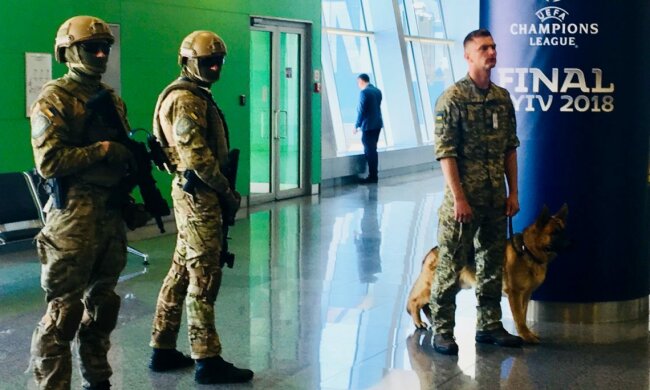 "Зеленый коридор" не помог: в Борисполе задержали турка с 28 кг янтарных украшений