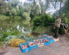 незаконний вилов риби