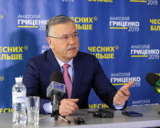 Анатолій Гриценко