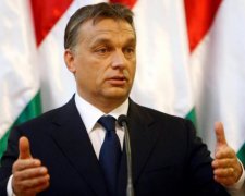 Ніхто не допоможе: Угорщина задумала "відкусити" Закарпаття