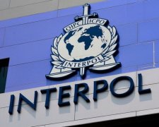 Затриманого Інерполом у Мюнхені добровольця відпустили