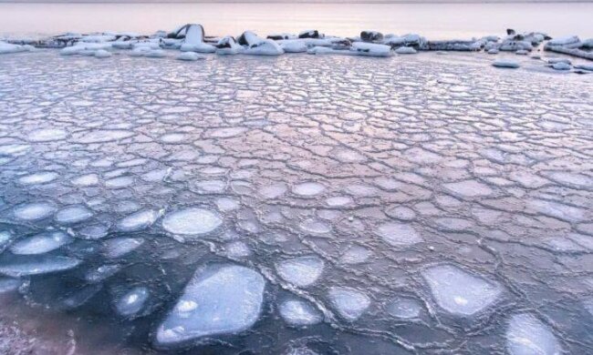 Фото: "Медузы" в Азовском море