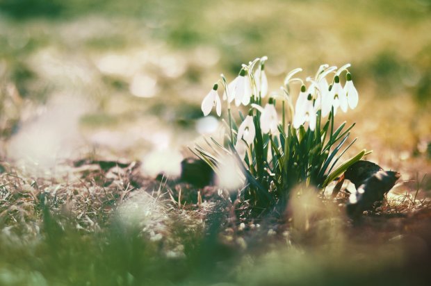 Прогноз погоды на март: когда в Украину вернется весна