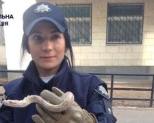 Київські поліцейські затримали змію