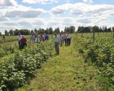 Україна відзначилася економічним рекордом