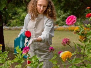 Цветы, удобрение, изображение из свободных источников