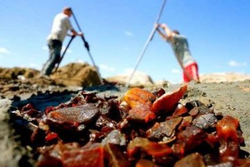 Китаянка стала жертвою бурштинового бізнесу в Україні