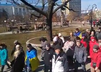 Мітинг в Бердянську, скріншот