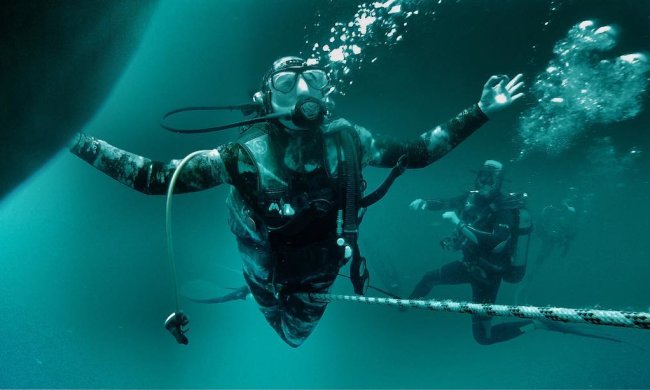 Дайверы обнаружили неизвестного монстра: 8 метров ужаса, извиваясь, плавают в морских глубинах