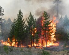 Маленькі супермени врятували Дніпро від страшної катастрофи, таке не під силу навіть дорослим: геройський вчинок потрапив на відео