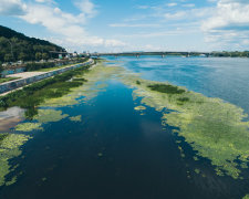 У Києві позеленів Дніпро: мерзенний сморід вигнав містян з пляжів, Кличко "набрав до рота води"