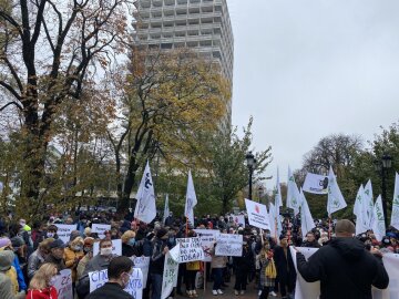 митинг под парламентом 3 ноября