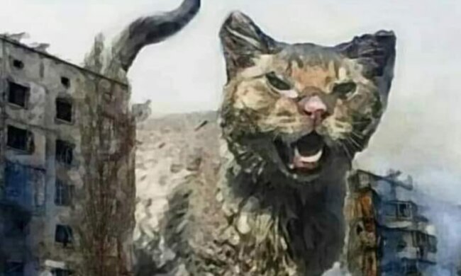 Котик