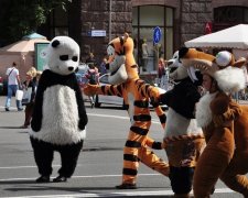 Гостям Євробачення створили інструкцію з виживання у Києві