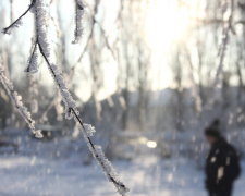 Раптову весну змінять люті морози: що буде з рослинами