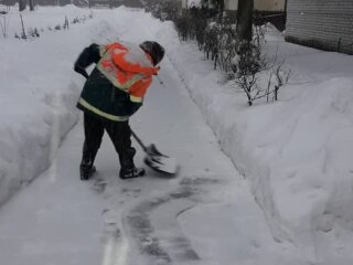 Львів'яни подякували пенсіонерці, фото Віталія Чорного: Facebook Гаряча лінія міста Львів