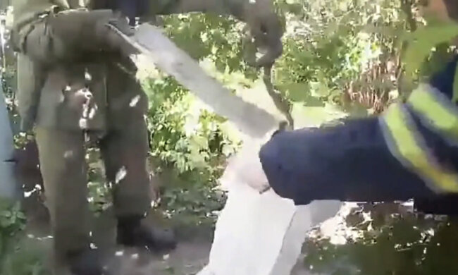 Під Дніпром водяний монстр мало не пообідав переляканими городянами - лежав на порозі, висолопивши язик