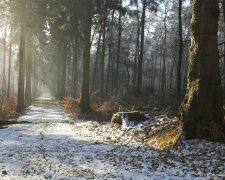 Морозный понедельник ворвется в Днепр: чего ожидать от погоды 2 декабря