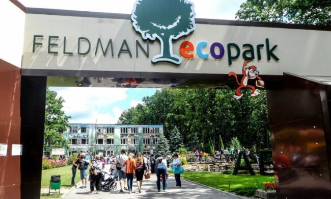 Тигрів, ведмедів і левів з "Екопарку" Фельдмана присипляти не будуть: "Все під контролем"