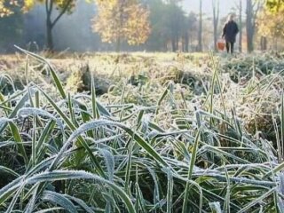 Заморозки, фото з вільних джерел