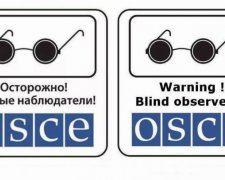 Росіяни в складі місії ОБСЄ заважають працювати - американський експерт