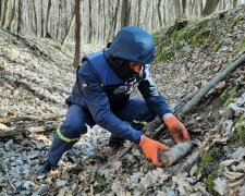 піротехніки ДСНС, фото пресслужби МВС