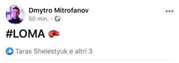 Дмитрий Митрофанов поддержал Василия Ломаченко