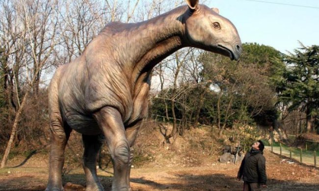 Это поразительно! Ученые восстановили облик предка всех млекопитающих