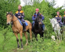 Если вам понадобится помощь: на видео показали коня-МЧСника и стало по-настоящему страшно