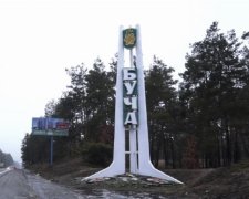 Бучанський ліс повернуть державі