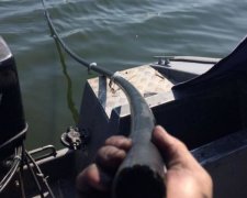 Украинские пограничники обнаружили подводный спиртопровод