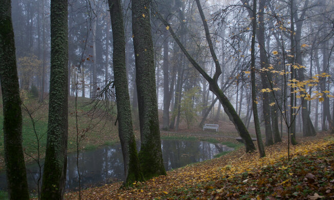Стихия превратит Винницу в туманный Лондон: синоптики дали хмурый прогноз на 21 декабря