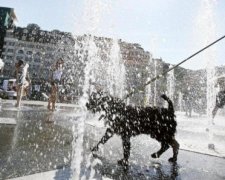 Ждать осталось недолго: синоптики рассказали, когда в Украину вернется жара