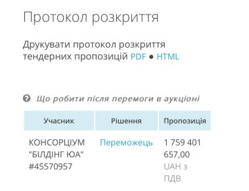 Данные о тендере, скриншот: Telegram