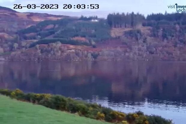Свежие кадры возле озера Лох-Несс, фото: Credit: Visit Inverness Loch Ness via Pen News