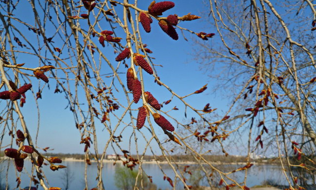 Погода на 6 квітня: весна порадує українців