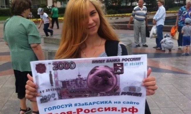 Барнаул голосує за кота Барсика